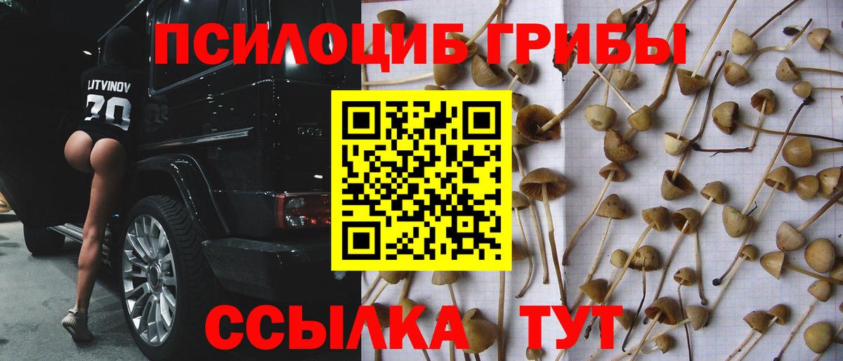 Березники  Галлюциногенные грибы мухоморы  Вход с VPN 
