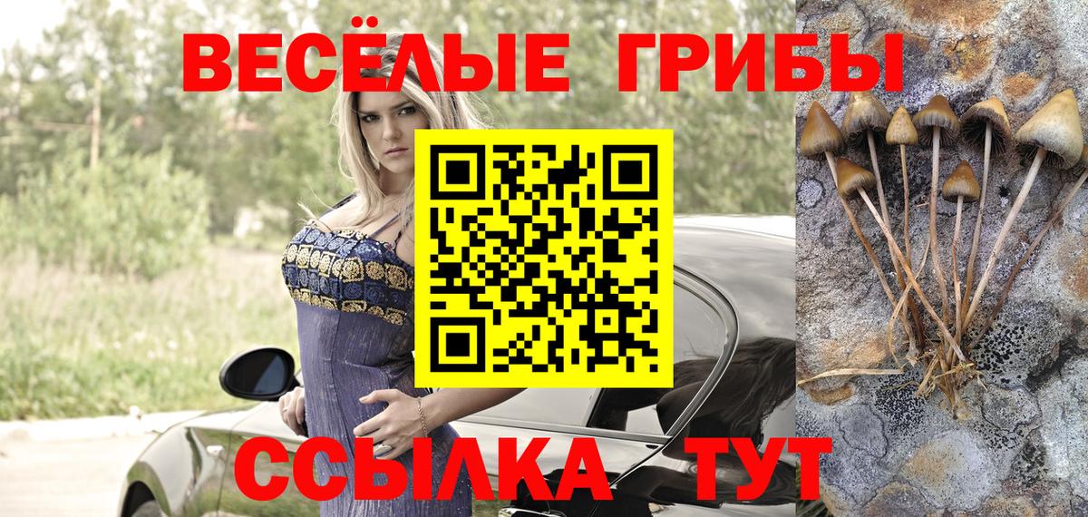 Псилоцибиновые грибы Psilocybine cubensis Березники
